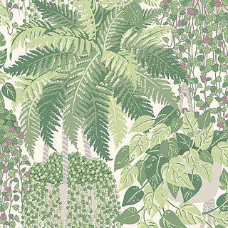 Fern