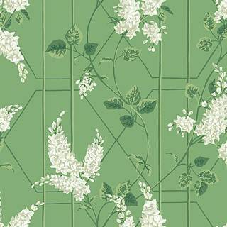 Cole & Son Wallpaper Wisteria 115/5016