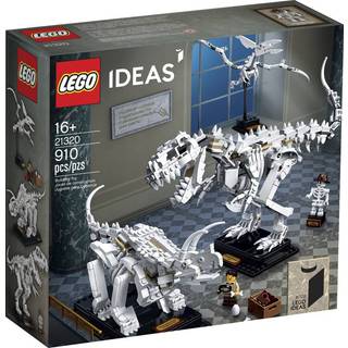 Dinosaur Fossils (21320)