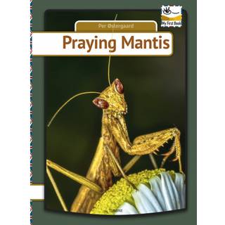 Praying mantis
