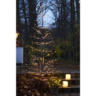 Sirius Isaac lystræ H2,1 meter med 348 LED