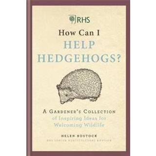 RHS How Can I Help Hedgehogs?