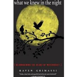 What We Knew in the Night