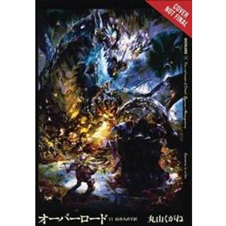 Overlord, Vol. 11 (light novel)