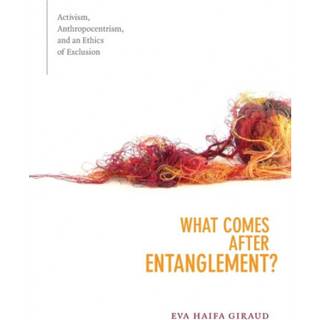 What Comes After Entanglement?