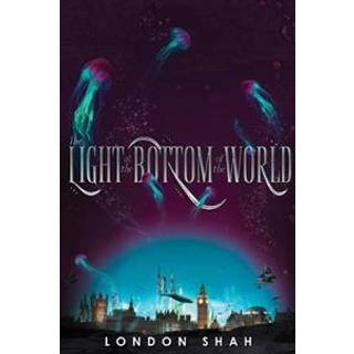 The Light At The Bottom Of The World