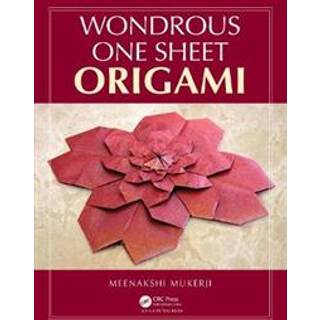 Wondrous One Sheet Origami