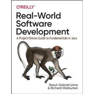 Real-World Software Development