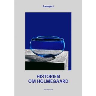 Historien om Holmegaard af Lene Steinbeck
