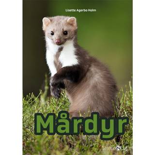 Mårdyr