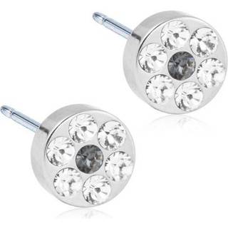 Brilliance Plenary Titanium Ørestikker fra Blomdahl med Swarovski Krystaller