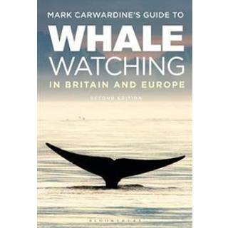 Mark Carwardine's Guide To Whale Watching In Britain And Europe