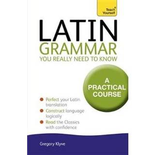 Latin Grammar You Really Need to Know: Teach Yourself