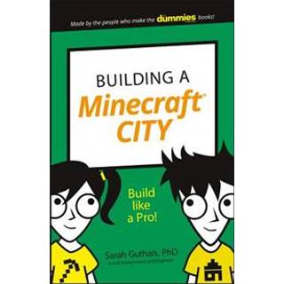 Building a Minecraft City