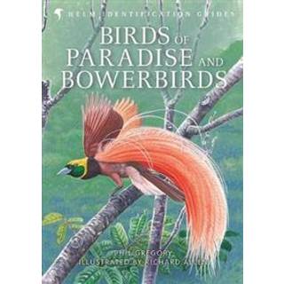 Birds of Paradise and Bowerbirds