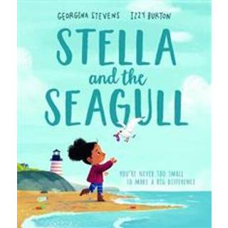 Year 1/Primary 2: Stella and the Seagull