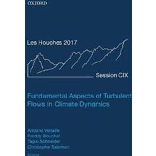 Fundamental Aspects of Turbulent Flows in Climate Dynamics