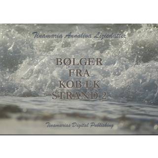 Bølger fra Kobæk Strand 2