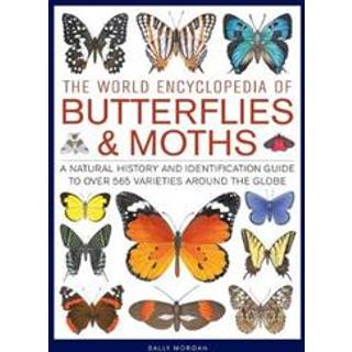 Butterflies & Moths, The World Encyclopedia of