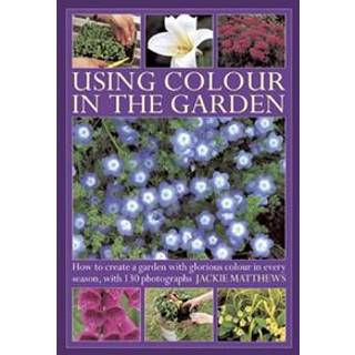 Using Colour in the Gardens