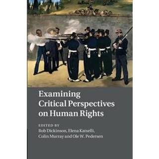 Examining Critical Perspectives on Human Rights