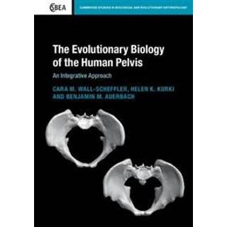 The Evolutionary Biology of the Human Pelvis