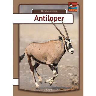 Antiloper