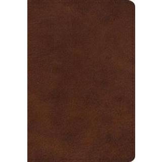 ESV Large Print Bible