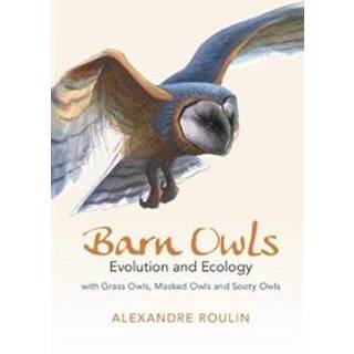 Barn Owls