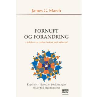 Hvordan beslutninger bliver til i organisationer