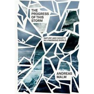 The Progress of This Storm