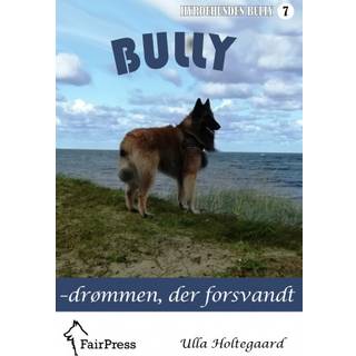 Bully – drømmen, der forsvandt