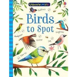 Birds to Spot