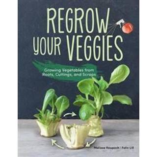 Regrow Your Veggies