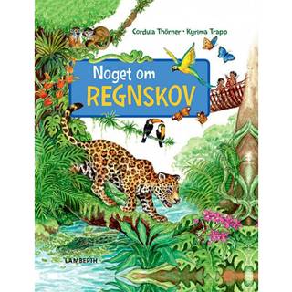 Noget om regnskov