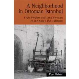 A Neighborhood in Ottoman Istanbul