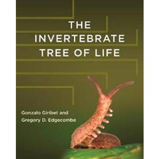 The Invertebrate Tree of Life