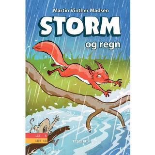 Storm #2: Storm og regn (Lydbog)