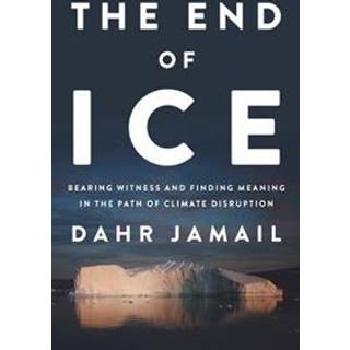 The End Of Ice