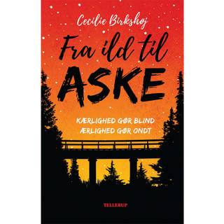 Det ingen ser: Fra ild til aske (E-bog)