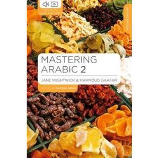 Mastering Arabic 2