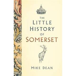 The Little History of Somerset