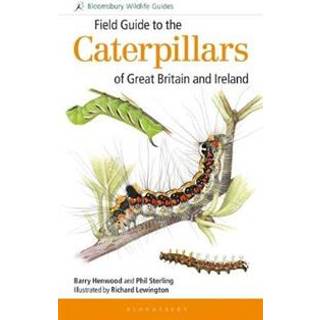 Field Guide to the Caterpillars of Great Britain and Ireland