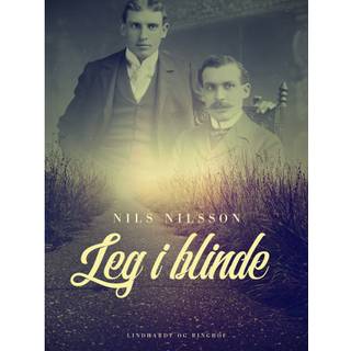 Leg i blinde