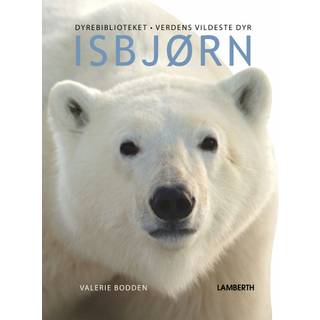 Isbjørn