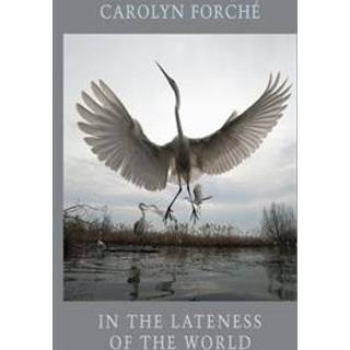 In the Lateness of the World