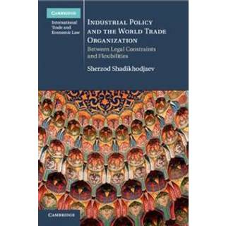 Industrial Policy and the World Trade Organization