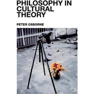 Philosophy in Cultural Theory