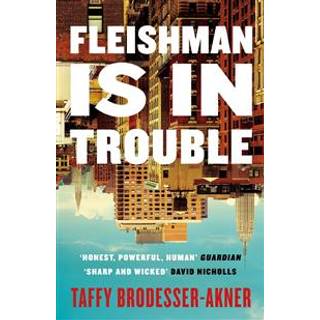 Fleishman Is in Trouble