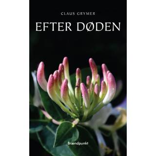 Efter døden